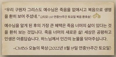 [오늘의 묵상] 2022.11.19
