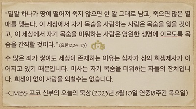 2023년 8월 10일 프코신부의 오늘의 묵상