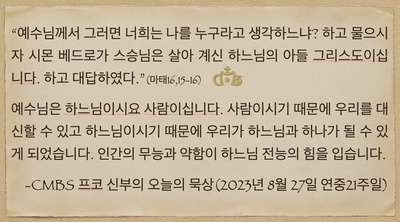 2023년 8월27일 연중27주일 프코신부의 오늘의 묵상