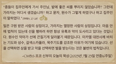 2023년 7월 23일 프코신부의 오늘의 묵상