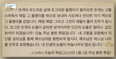 2023년 2월 2일 주님봉헌축일 오늘의 묵상